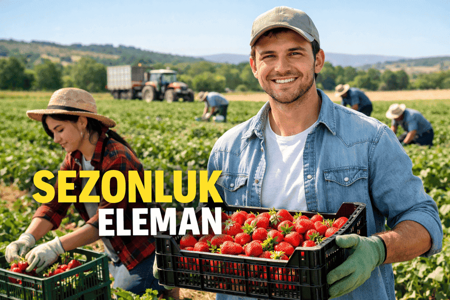 Sezonluk Eleman