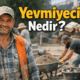 Yevmiyeci Nedir